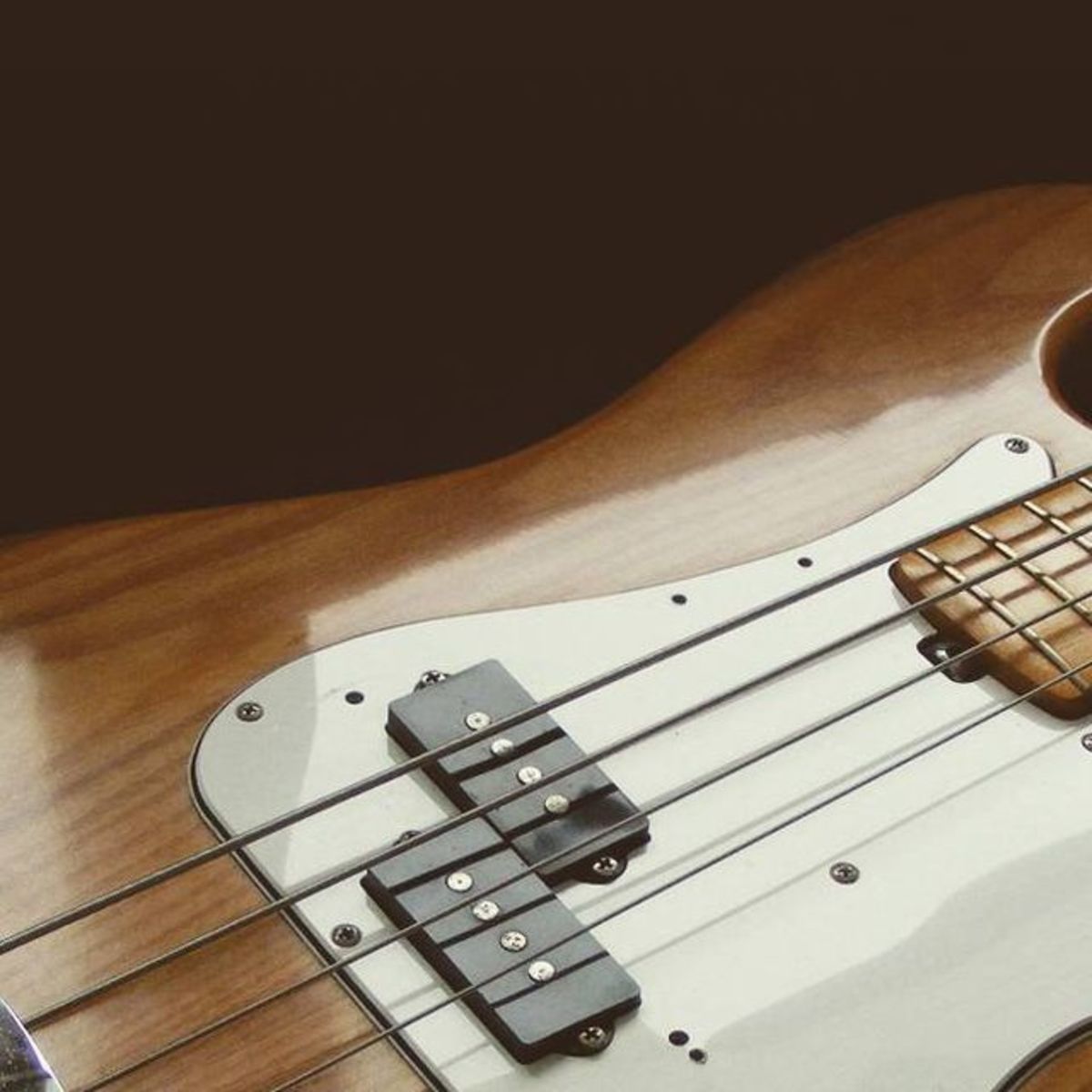 ferdinand_sampayo's music gear photo