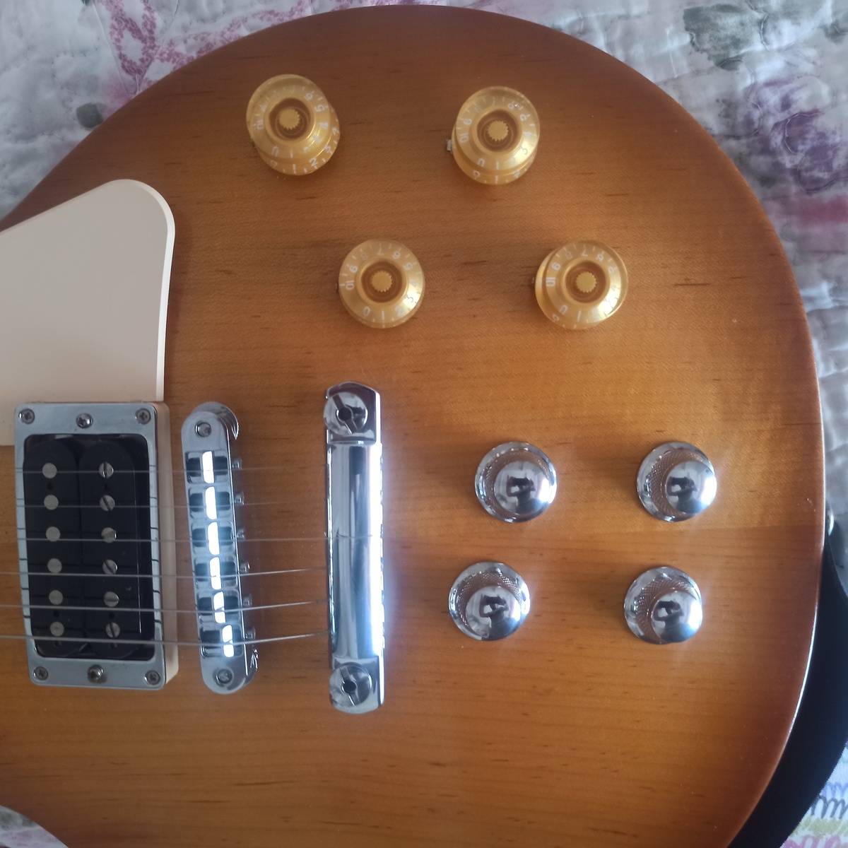 Music Gear Setup by hakanbaysal featuring Gibson Les Paul Tribute HP 2017