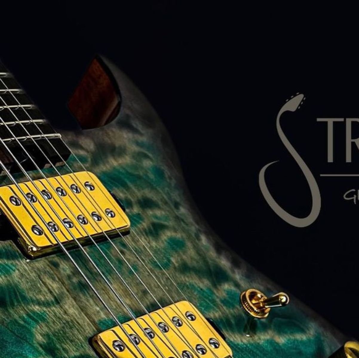 iturriaga26's music gear photo