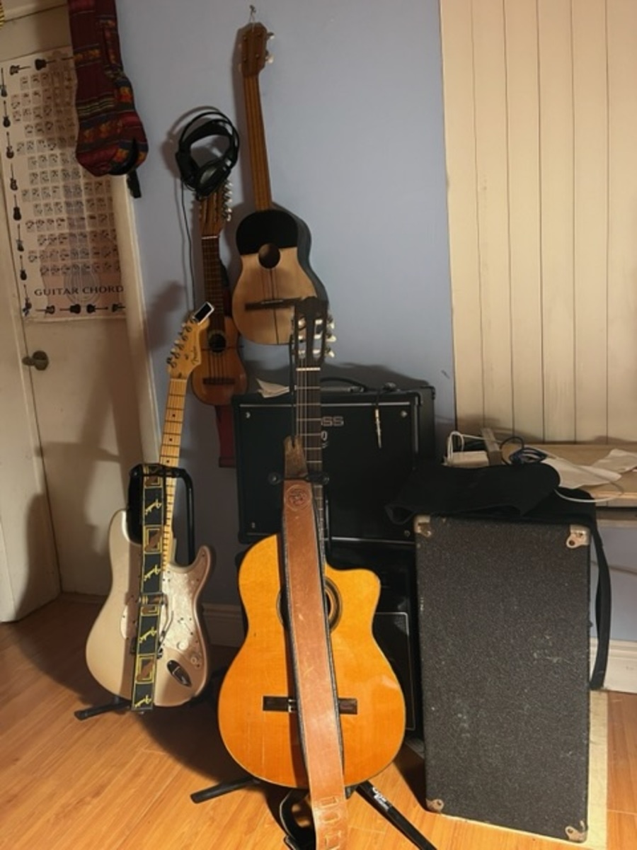rene_vidal's music gear photo