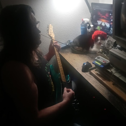 Photo of Memphis 302HB in a guitar