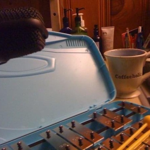 Photo of Portable Xylophone