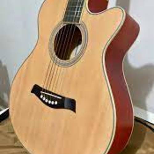Photo of Ground YWAG-4020 Guitar in a guitar