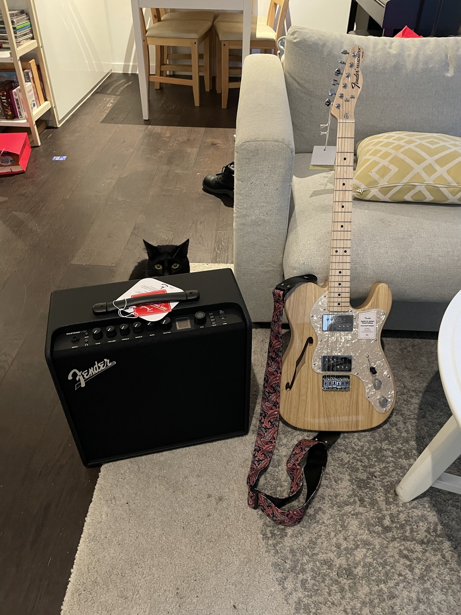 theavyms's music gear photo