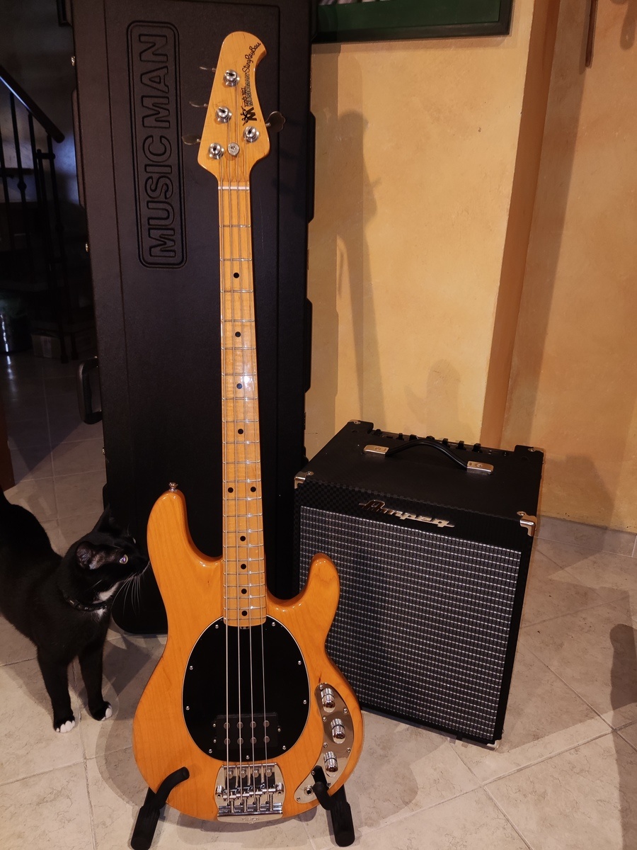 Music Man Amp Rig by gabriele_pagano featuring Music Man Classic Stingray and Ampeg RB-110