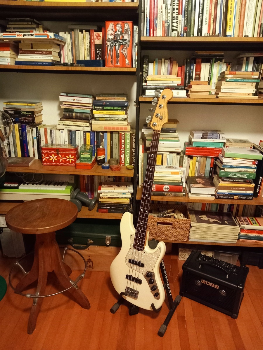 emiliano_vianello's music gear photo