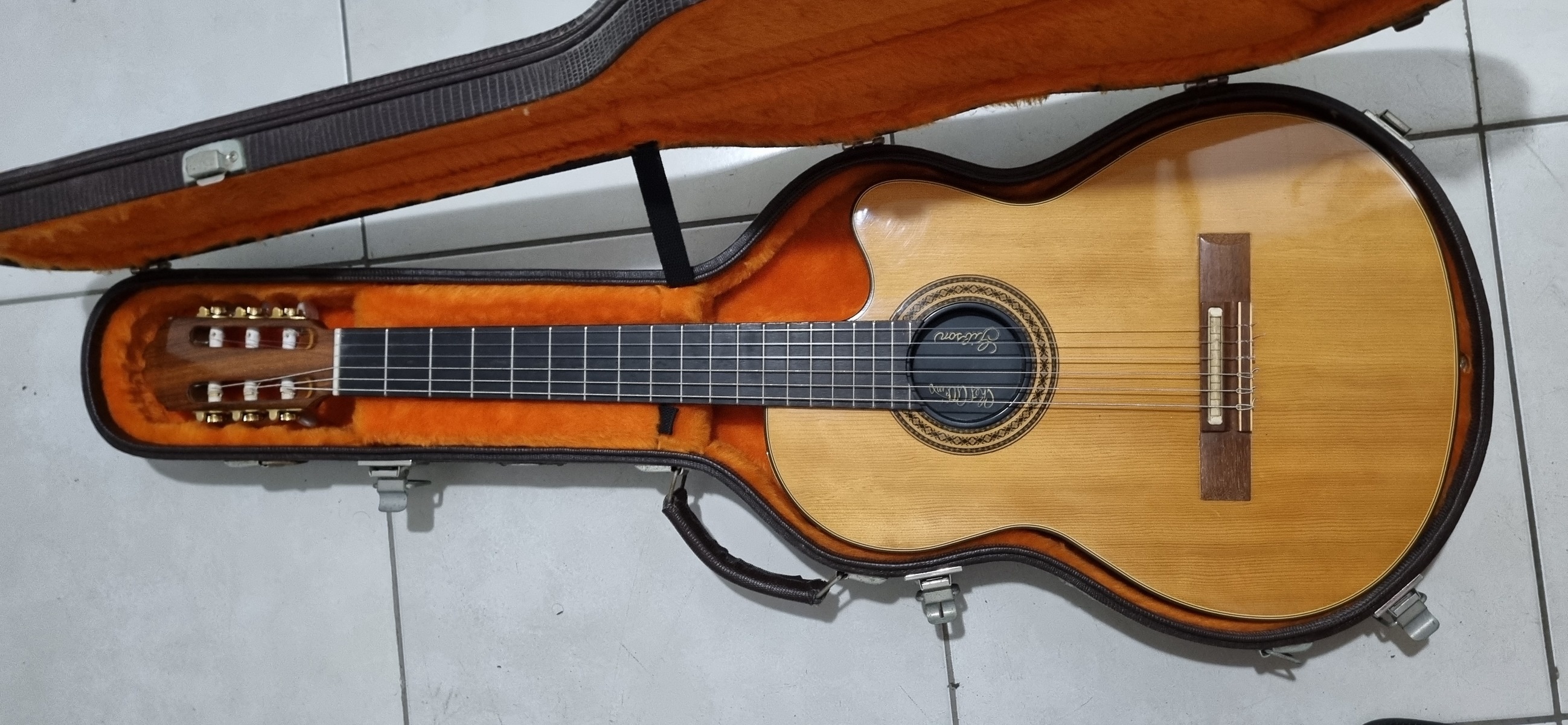 eraldo_agostinho's music gear photo