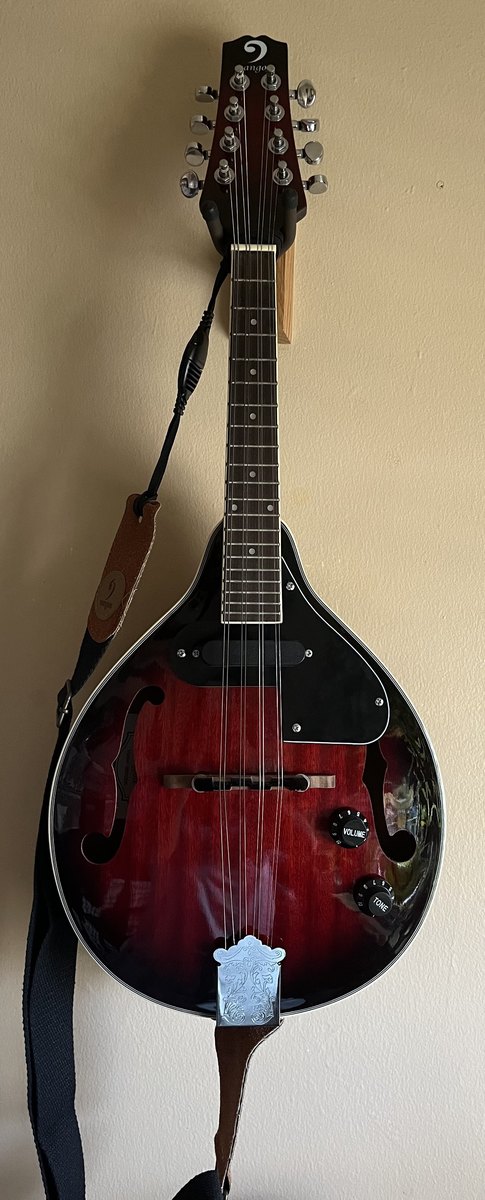 irisablooms's music gear photo
