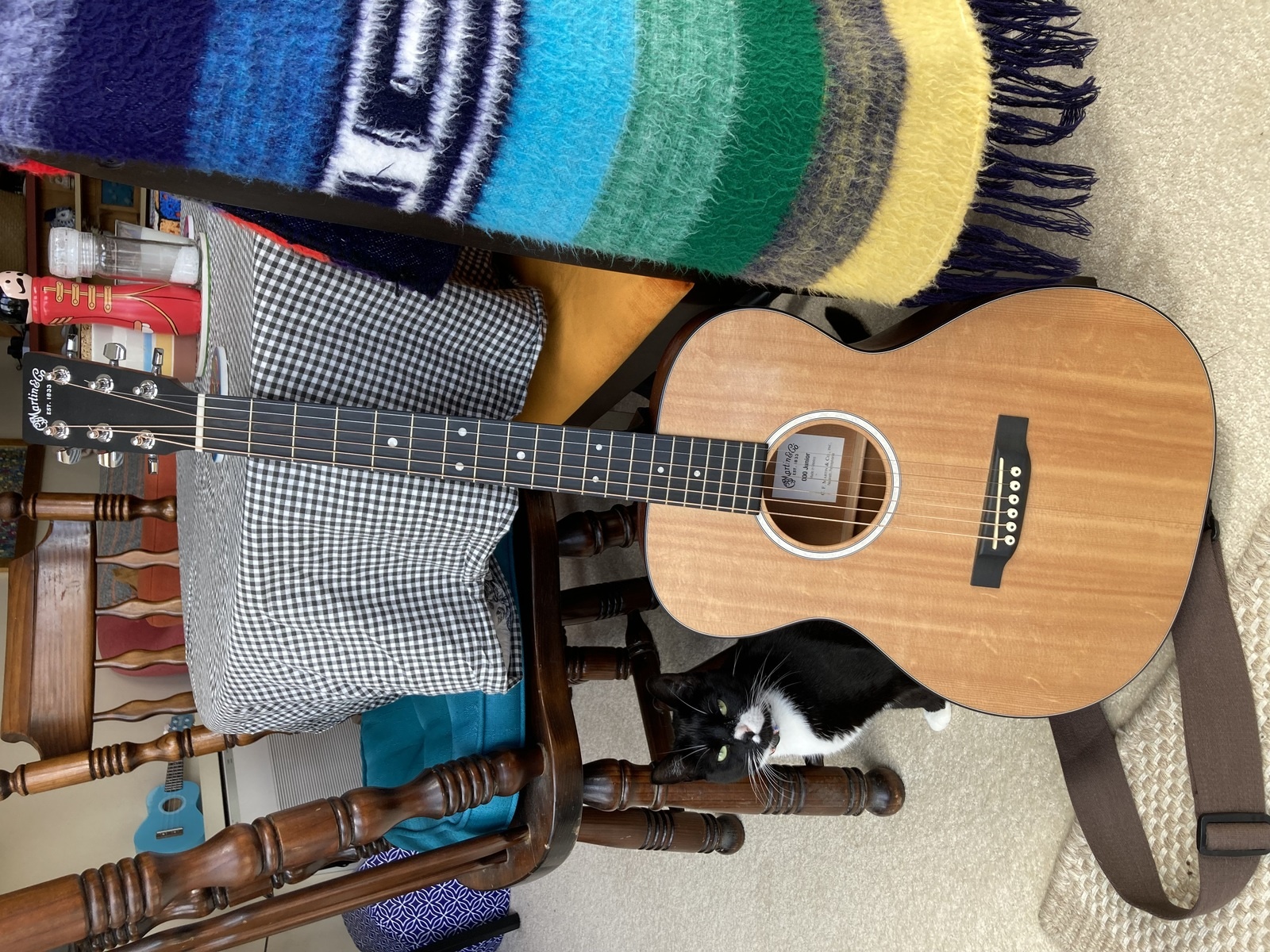 Music Gear Setup by captainpossum featuring Martin 000Jr-10 Acoustic Guitar