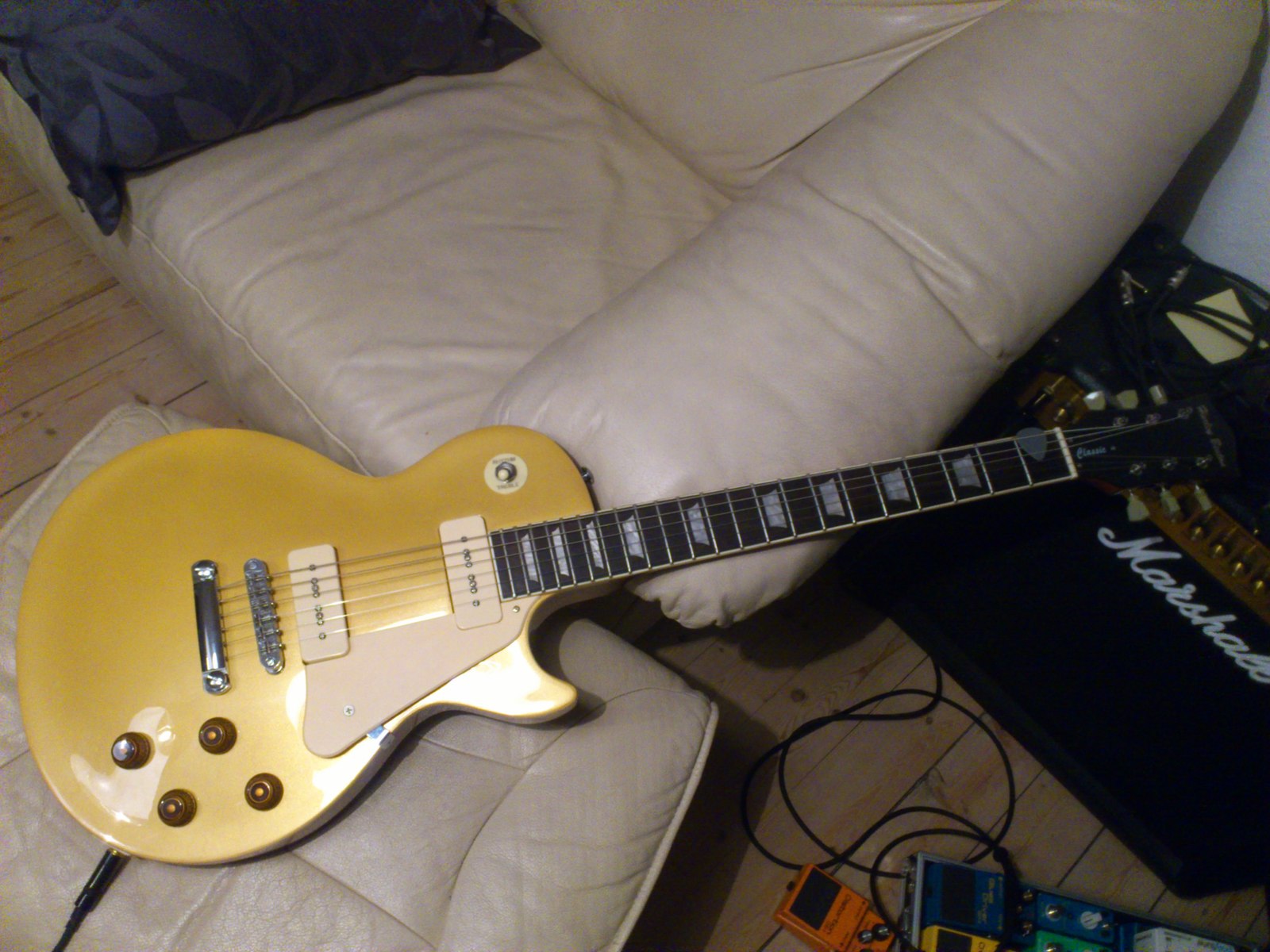 Music Gear Setup by pedalfreak94 featuring Harley Benton L-450 GT P90
