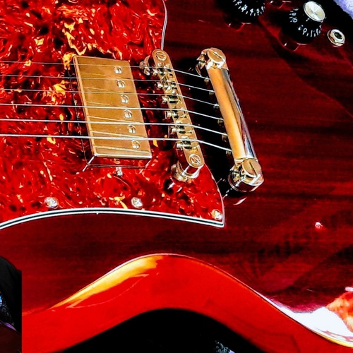 marcus_greenlee's gear photo