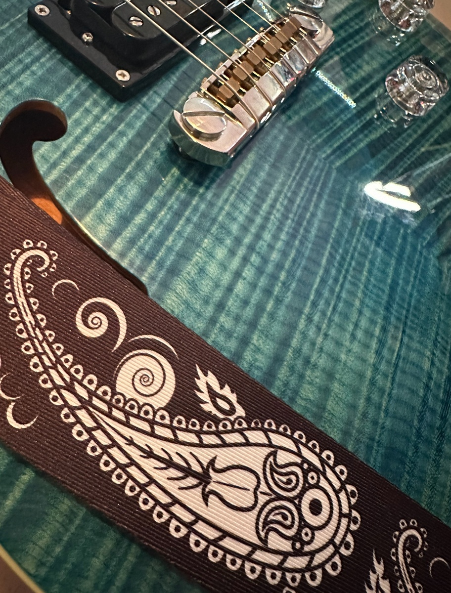 Music Gear Setup by manicmitchie featuring 2021 PRS Zach Myers Signature SE