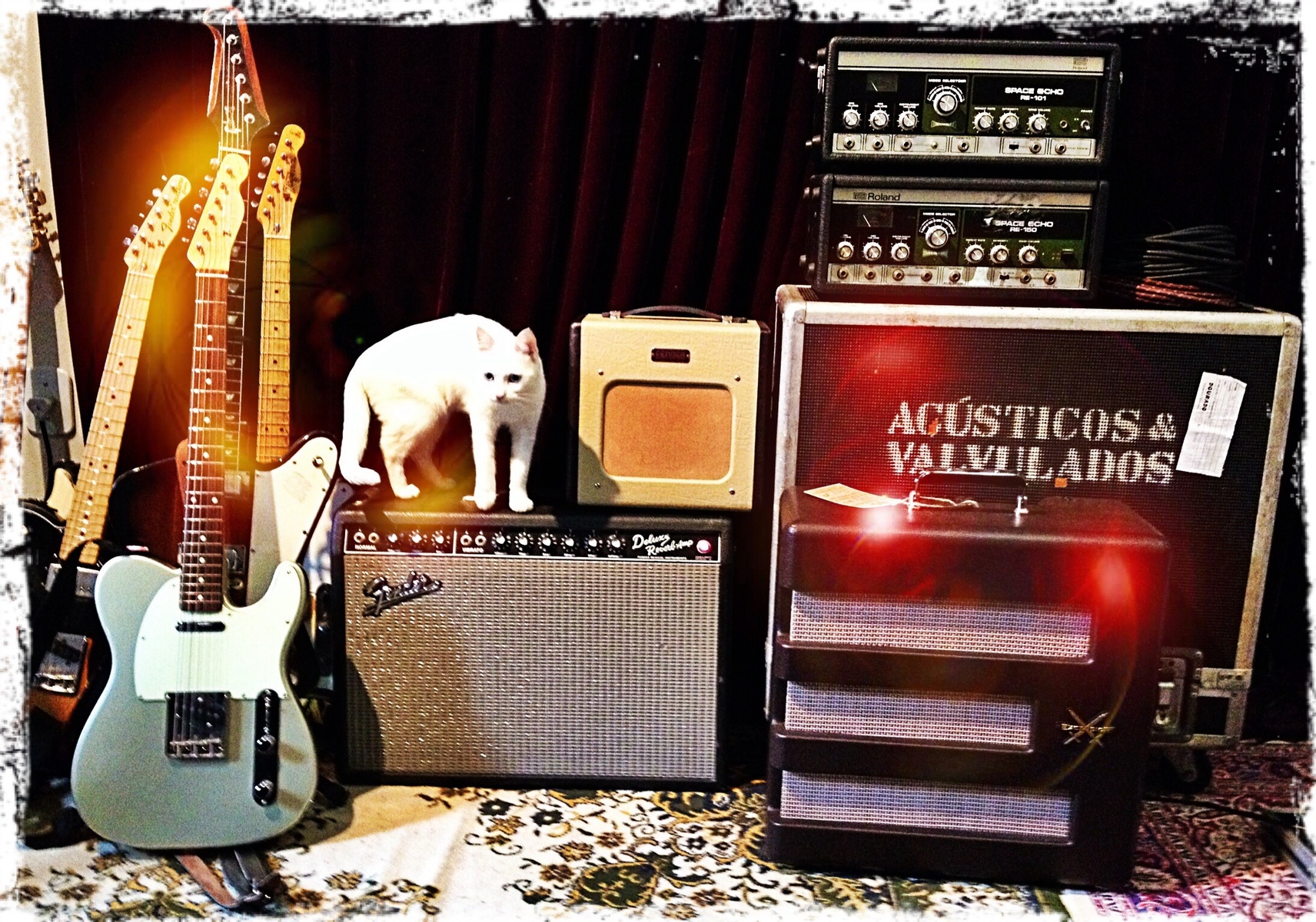 Fender Amp Rig by moicarock featuring Fender '65 Deluxe Reverb Reissue 1x12 Combo Amplifier, Fender Mexican Telecaster, and Roland RE-201 Space Echo
