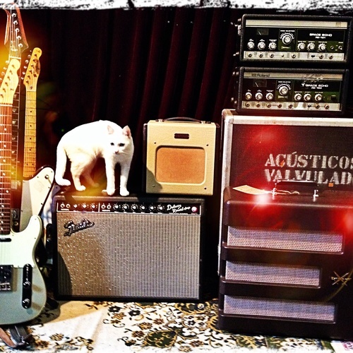 Photo of Fender Mexican Telecaster and more gear in a guitar and amplifier