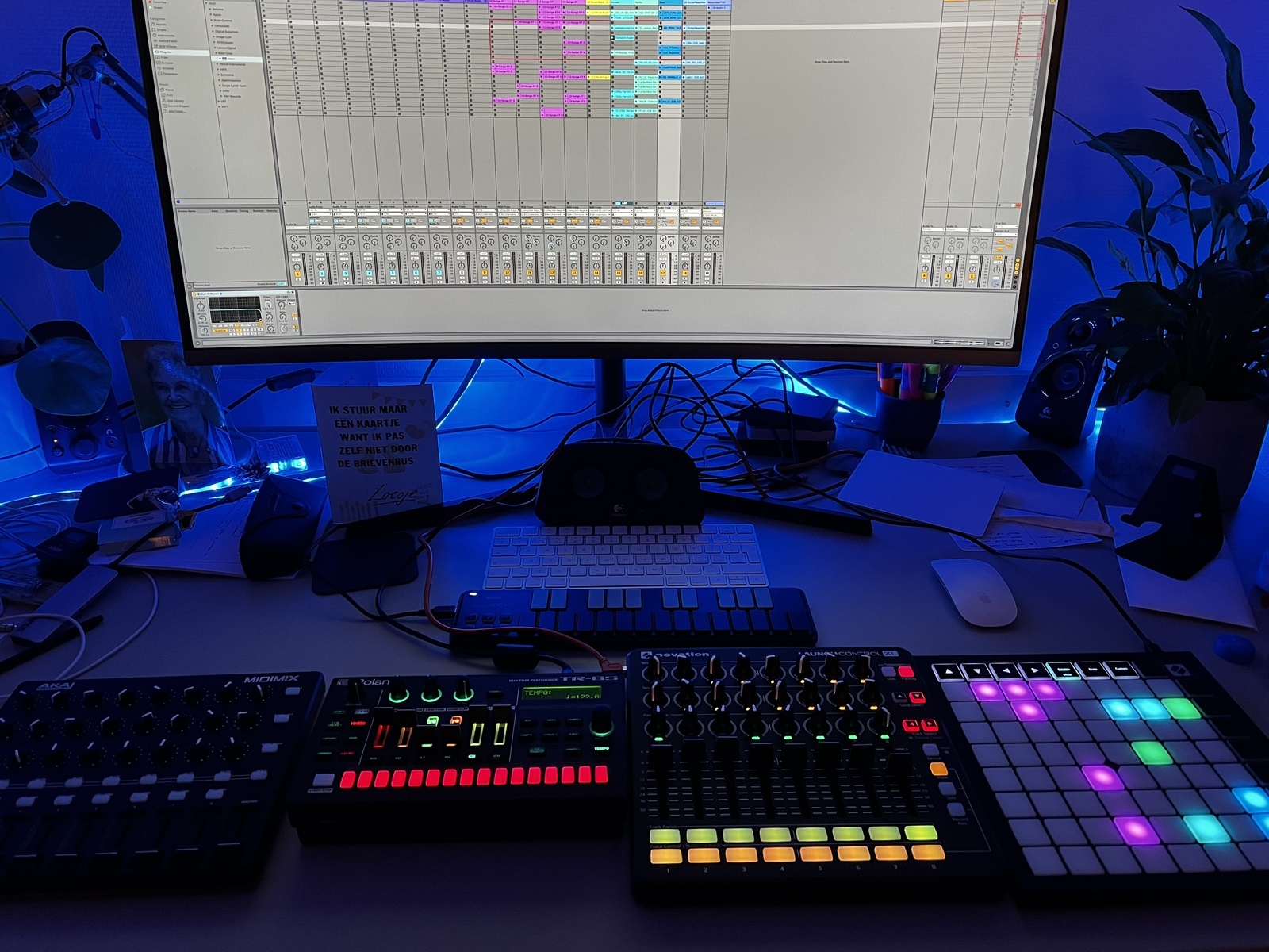 jimmyjelle's music gear photo