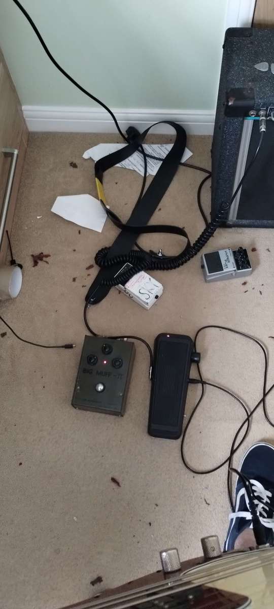 Electro-Harmonix Bass Rig by skytimesfive featuring Fender Precision Bass and Electro-Harmonix Sovtek "Green Russian" Big Muff Pi V7C