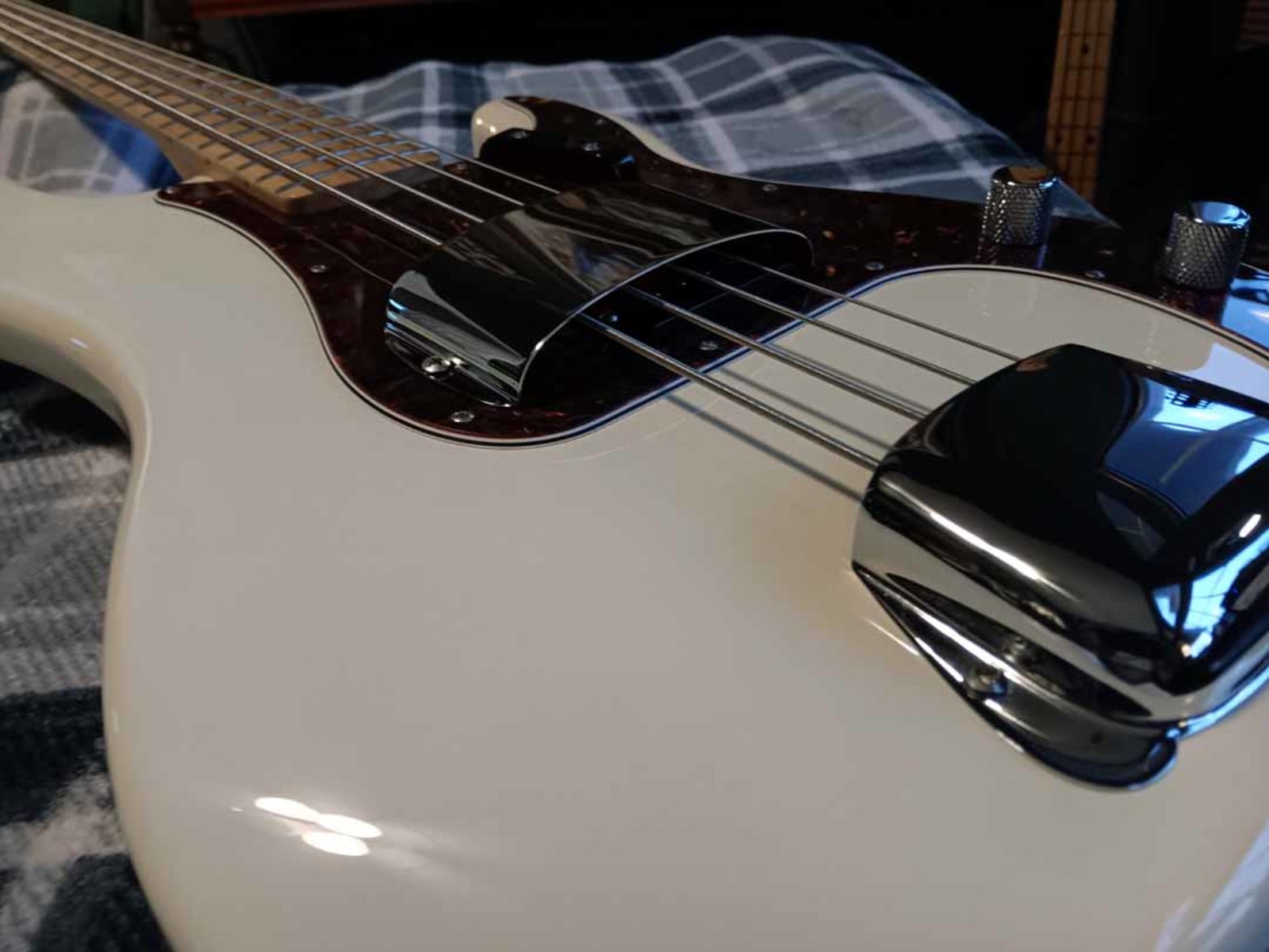 Music Gear Setup by jeremy_crockett featuring Fender Standard Precision Bass MN