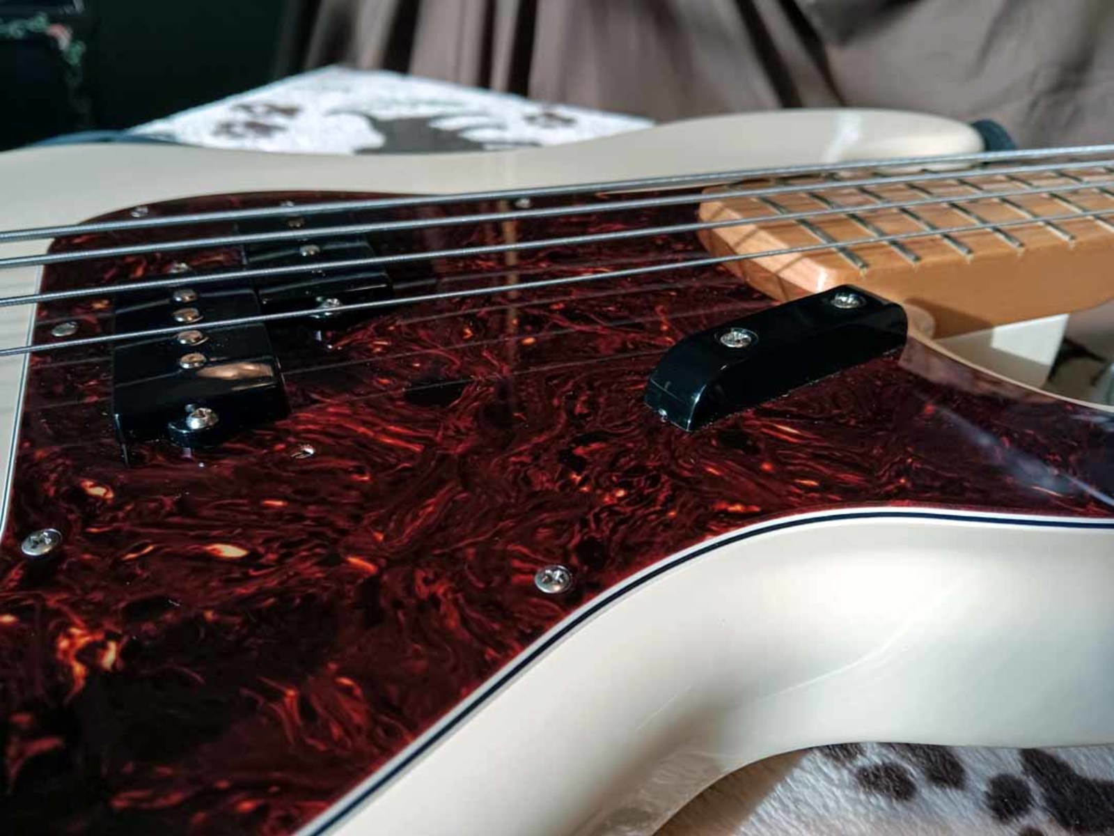 Music Gear Setup by jeremy_crockett featuring Fender Standard Precision Bass MN