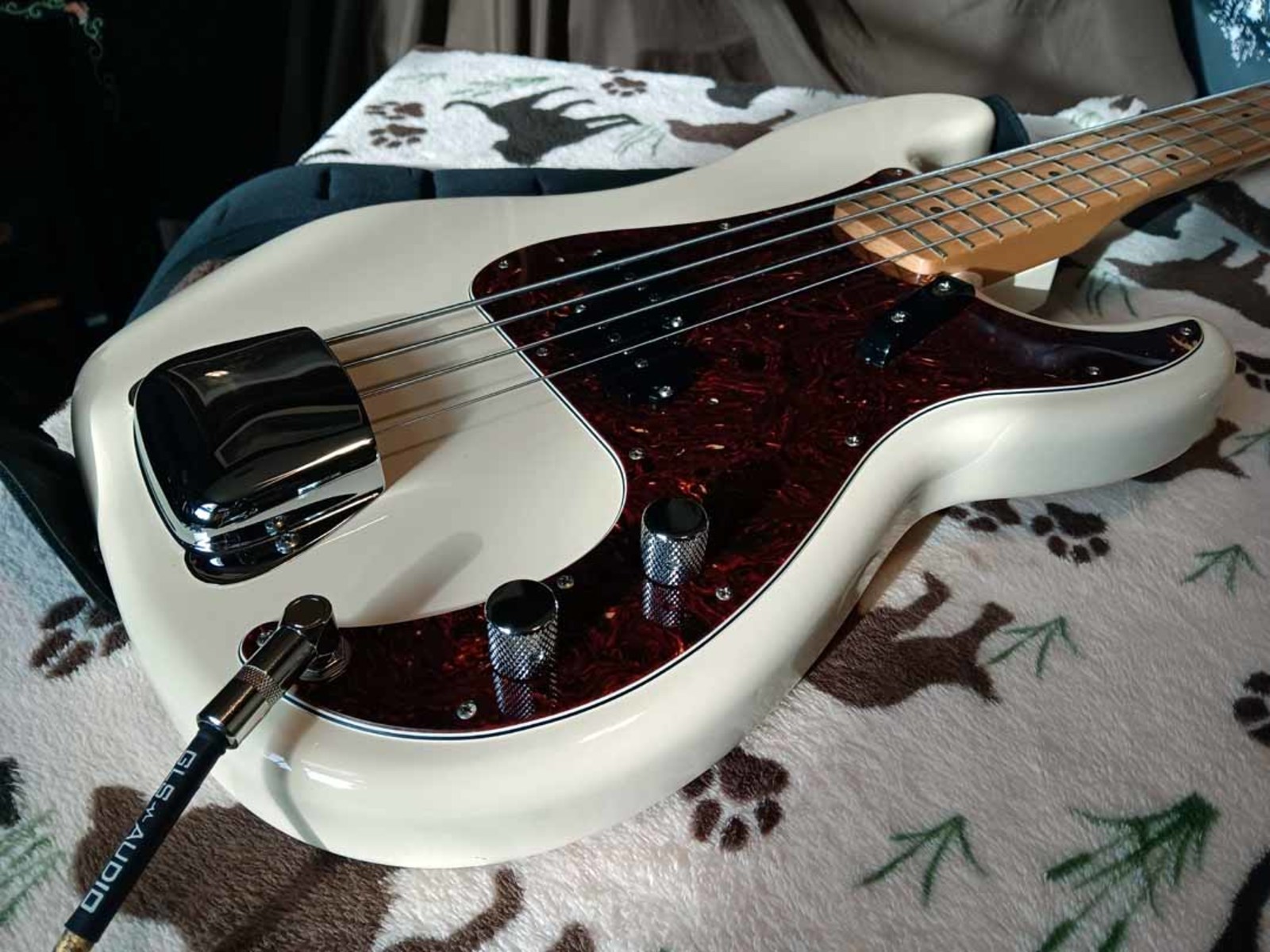 Music Gear Setup by jeremy_crockett featuring Fender Standard Precision Bass MN