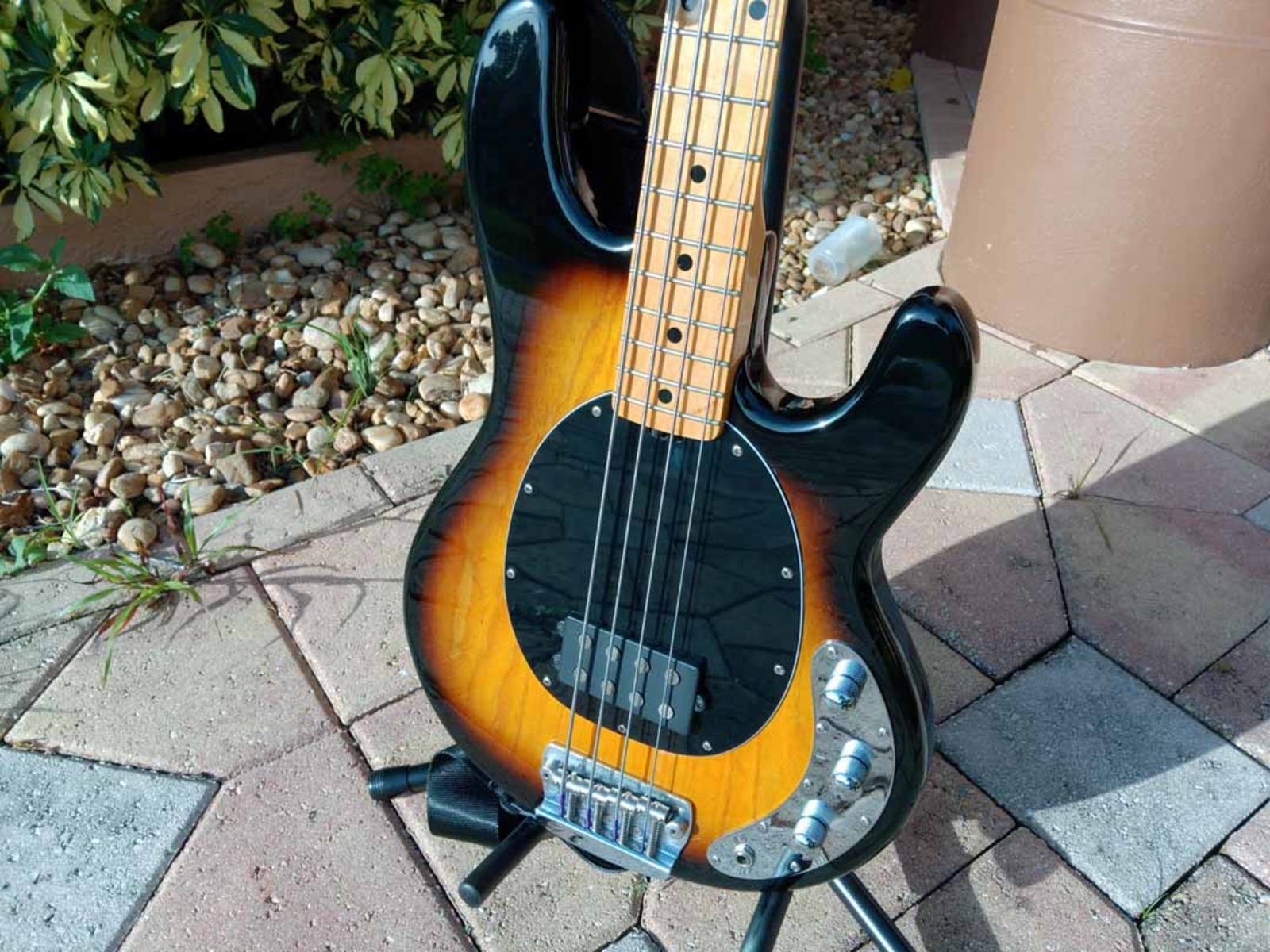 Music Gear Setup by jeremy_crockett featuring Sterling by Music Man Ray34CA