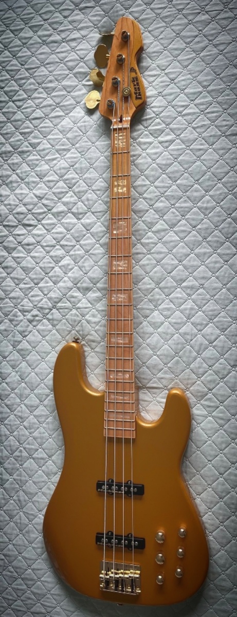 davesickboy13's music gear photo