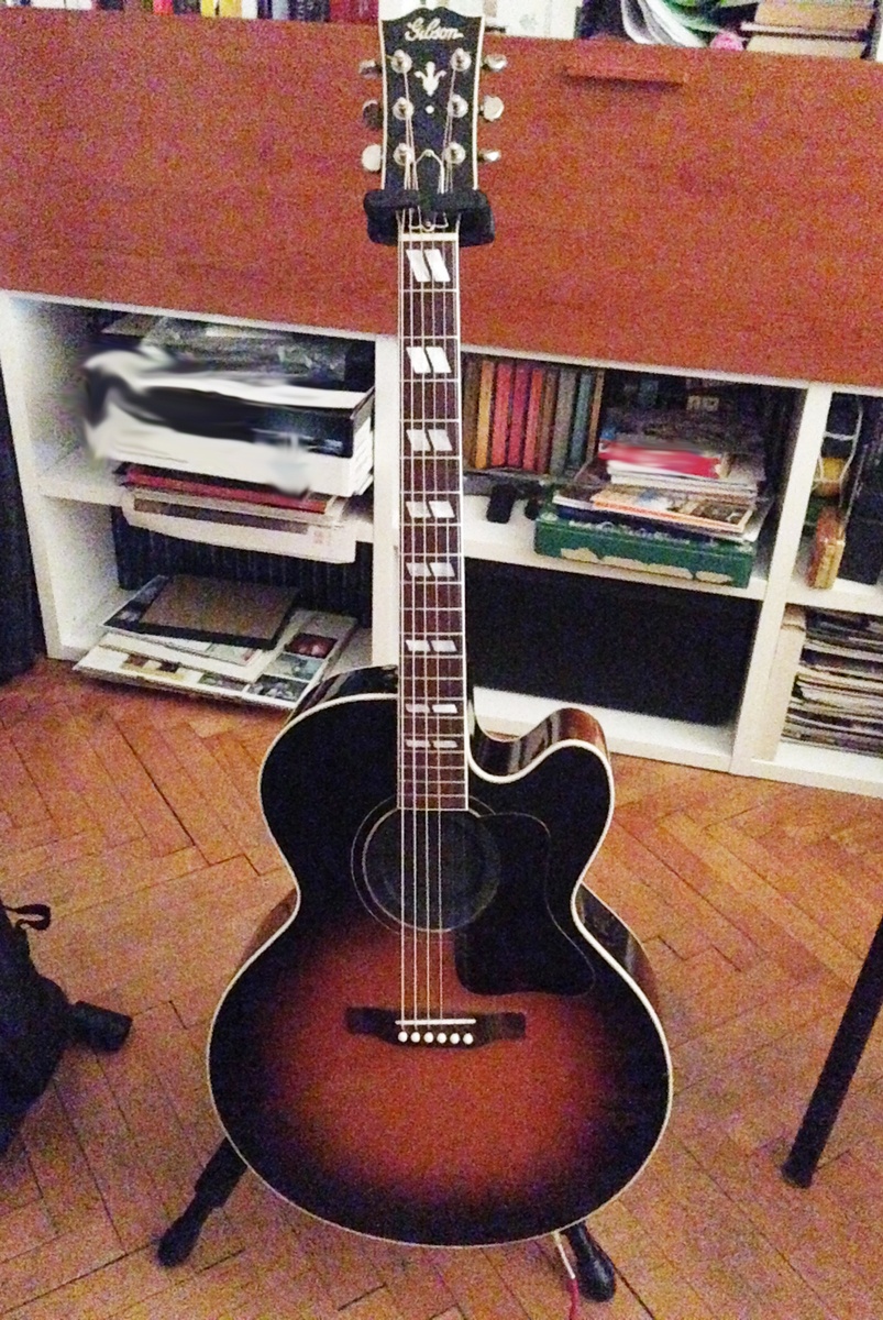 Music Gear Setup by kahlor featuring Gibson Blues King Electro