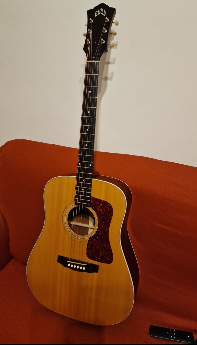 Music Gear Setup by goddamfreezer featuring Guild D-40 Acoustic