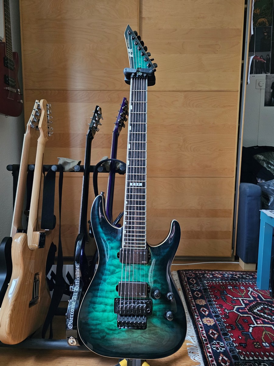Music Gear Setup by gregor_sp featuring ESP E-II Horizon FR-7