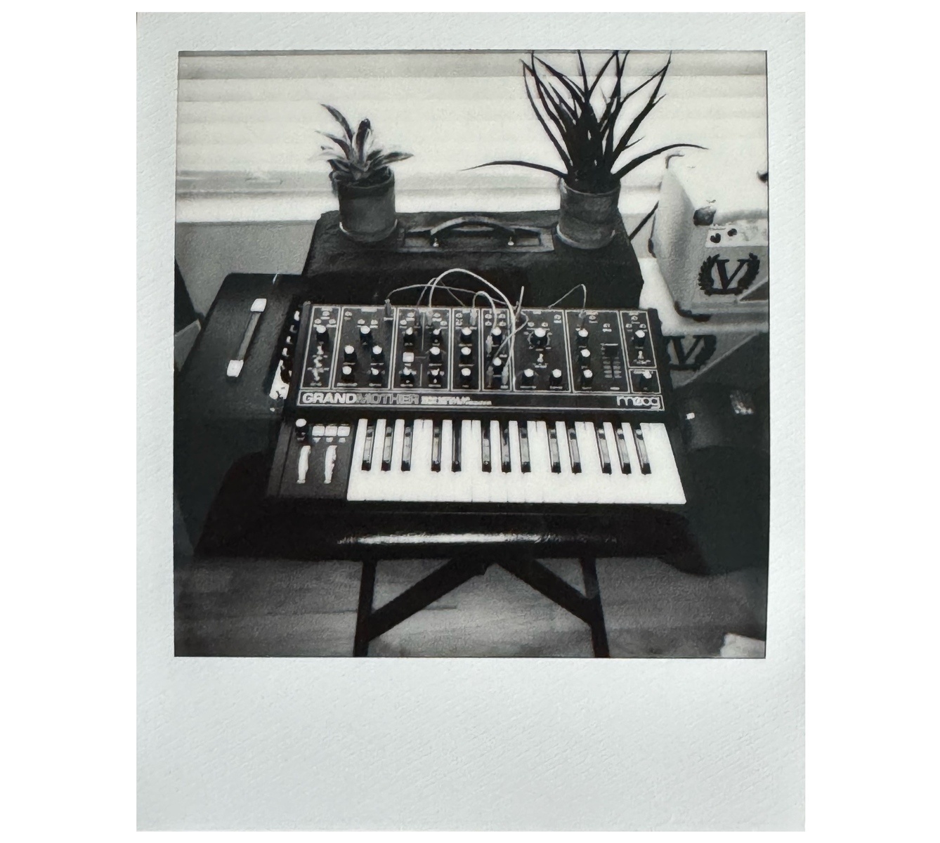 Synth Setup by lazarus featuring Moog Grandmother Dark
