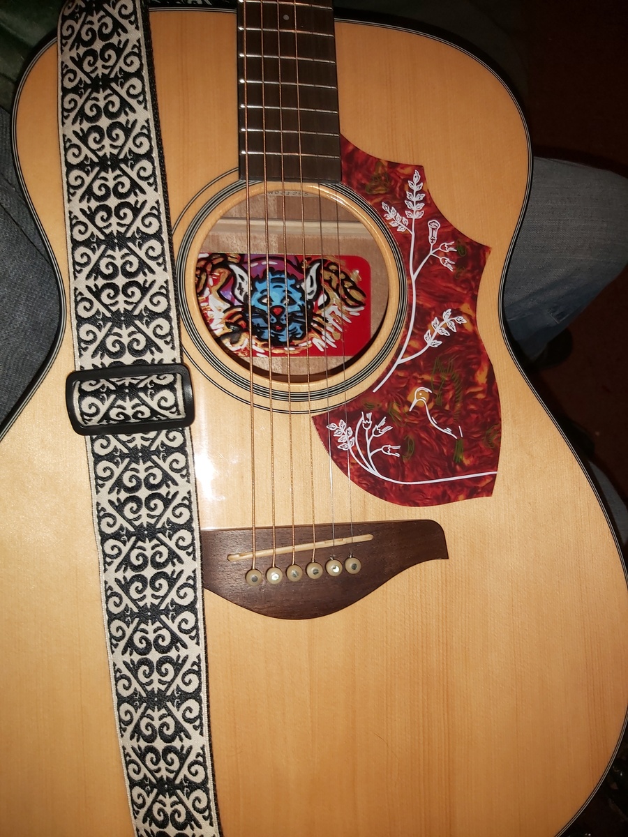 lomemarsupial's music gear photo