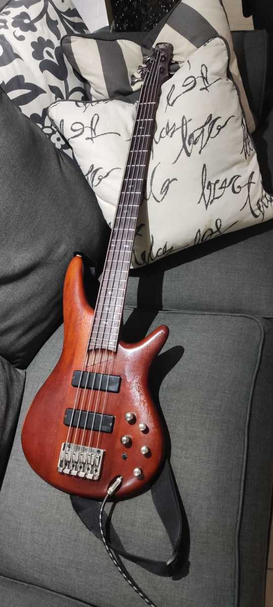 Metal Music Gear Setup by dase1n featuring Ibanez SR505