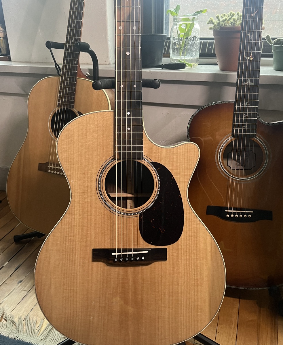 Music Gear Setup by tom_pahl featuring Martin GPC-16E