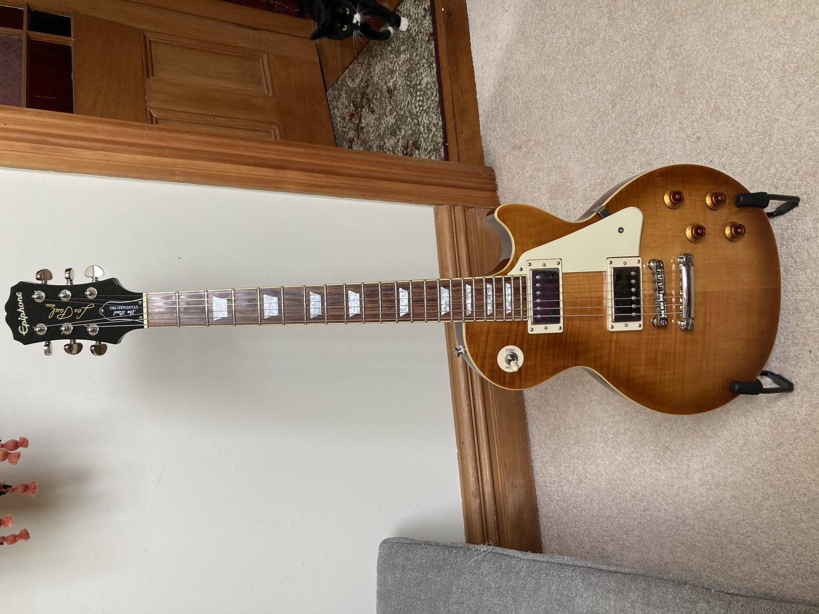 captainpossum's music gear photo