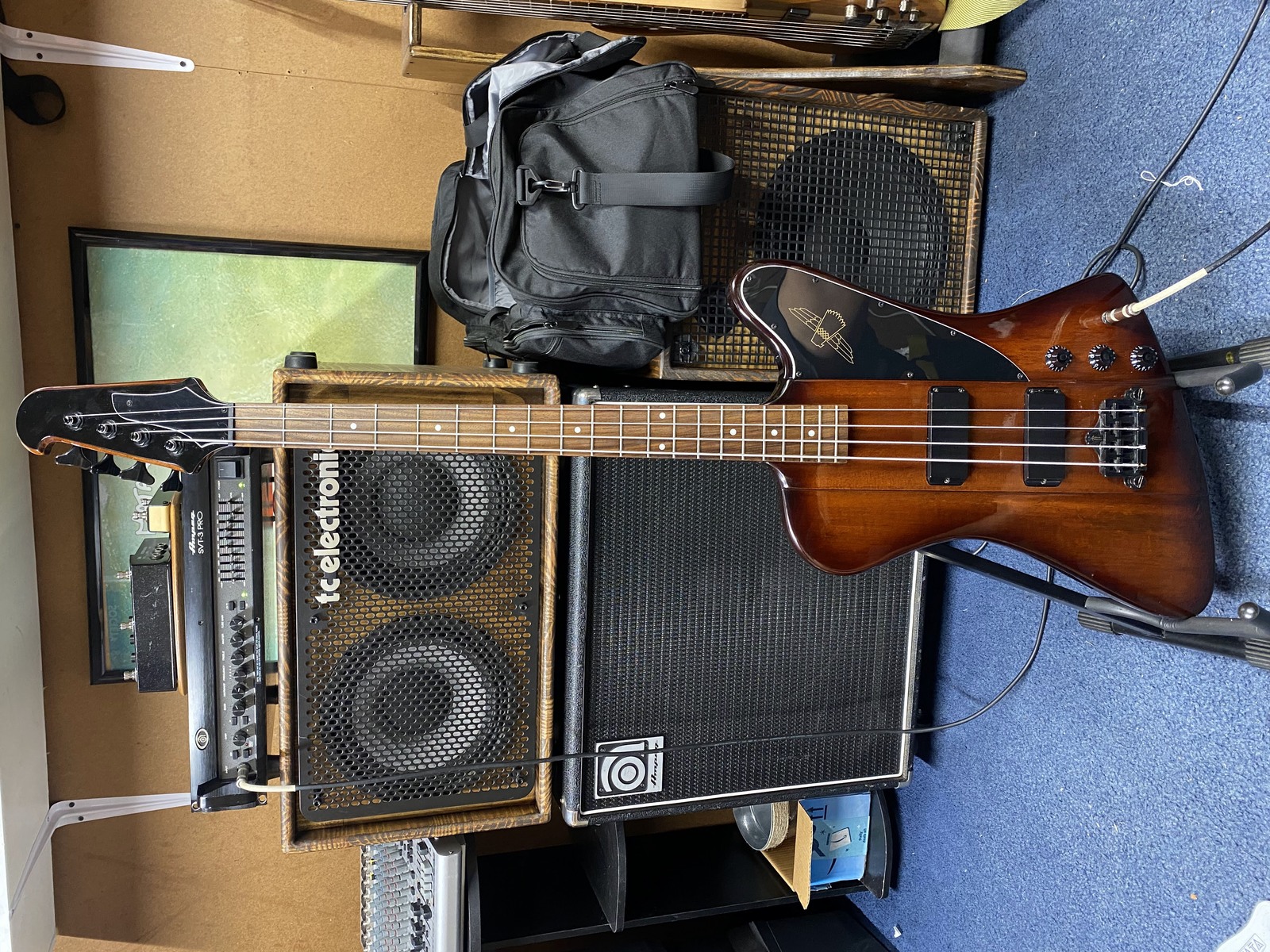 Metal Music Gear Setup by professor_tice featuring Epiphone Thunderbird IV
