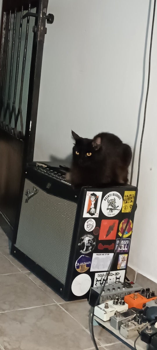 Amp Rig by pedroquemia featuring Fender Mustang III