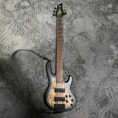 Photo of ESP Ltd D-5 in a guitar