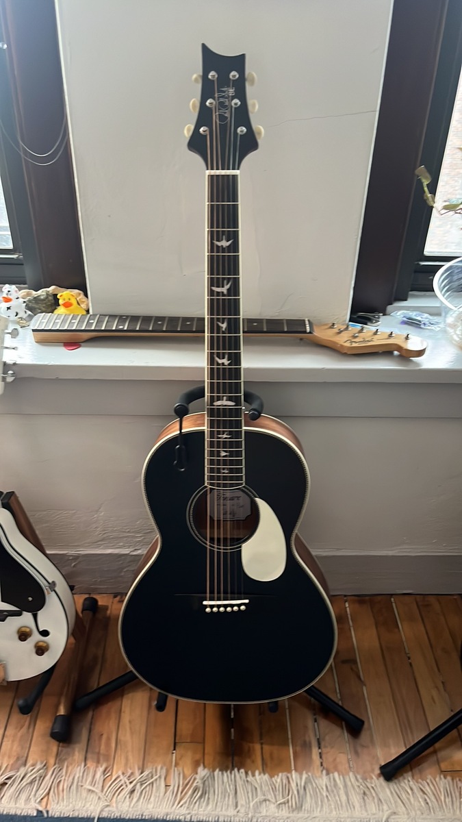 Music Gear Setup by tom_pahl featuring PRS SE P20 Parlour