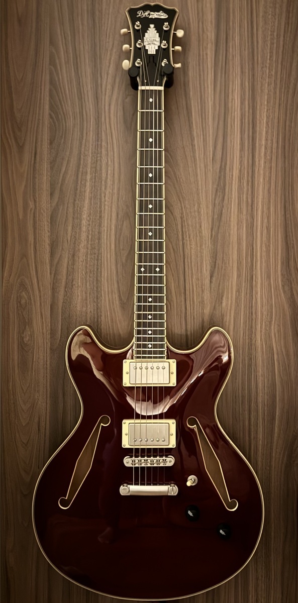 Music Gear Setup by szilard_antal featuring D'Angelico Excel DC Tour Semi-hollowbody Electric Guitar