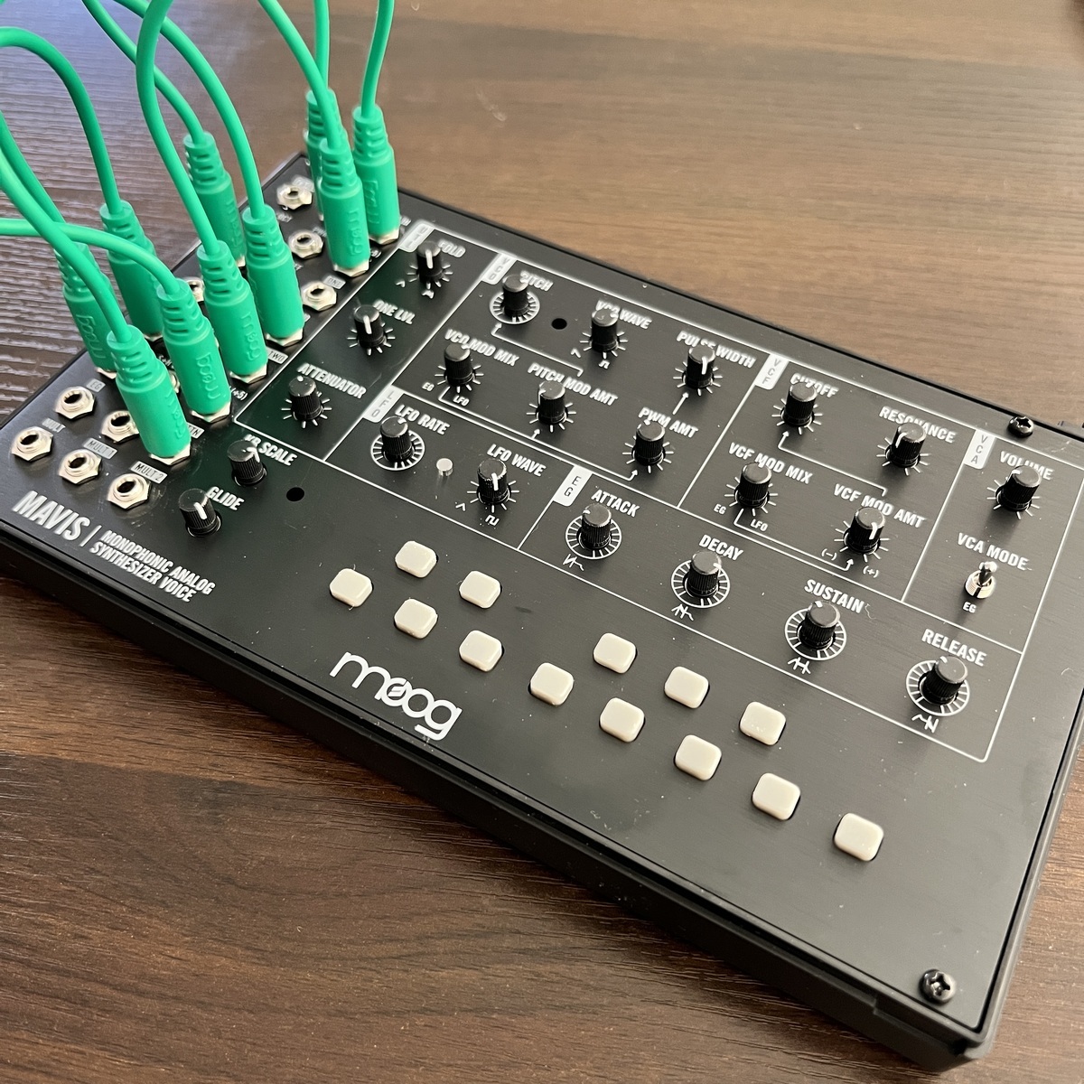 Synth Setup by dbfalken featuring Moog Mavis