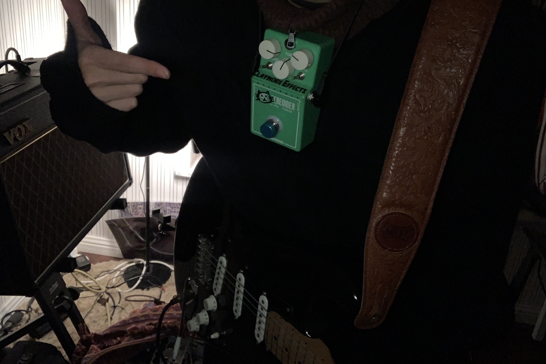 karamazov's music gear photo