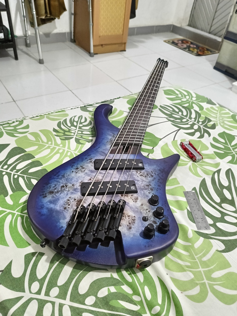 Music Gear Setup by antagonist_official featuring Ibanez EHB 1505 MS