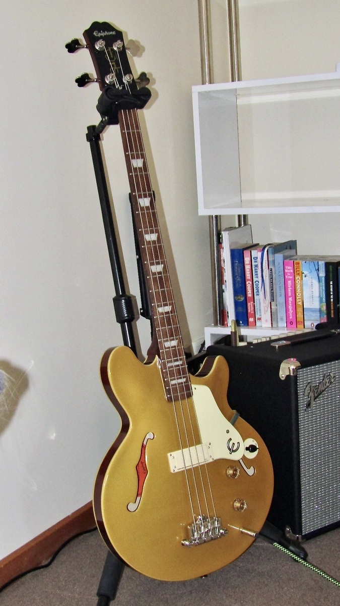 steve_tracy's music gear photo