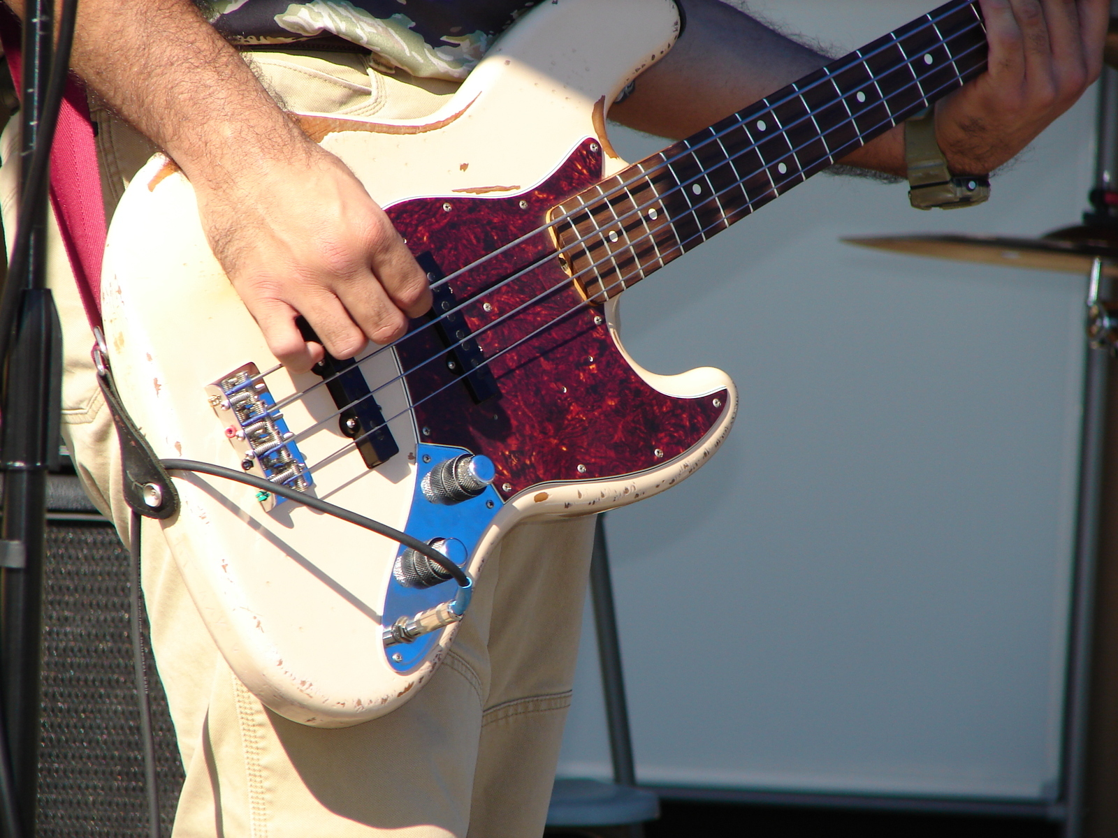 Music Gear Setup by stringman featuring Fender Flea Signature Jazz Bass