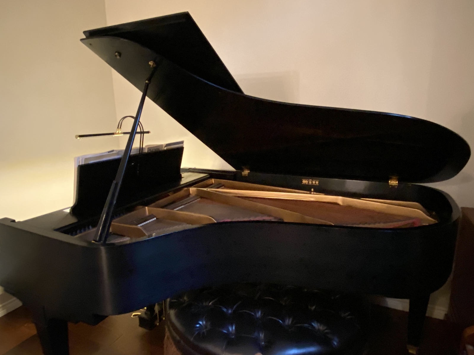 drmalone's music gear photo