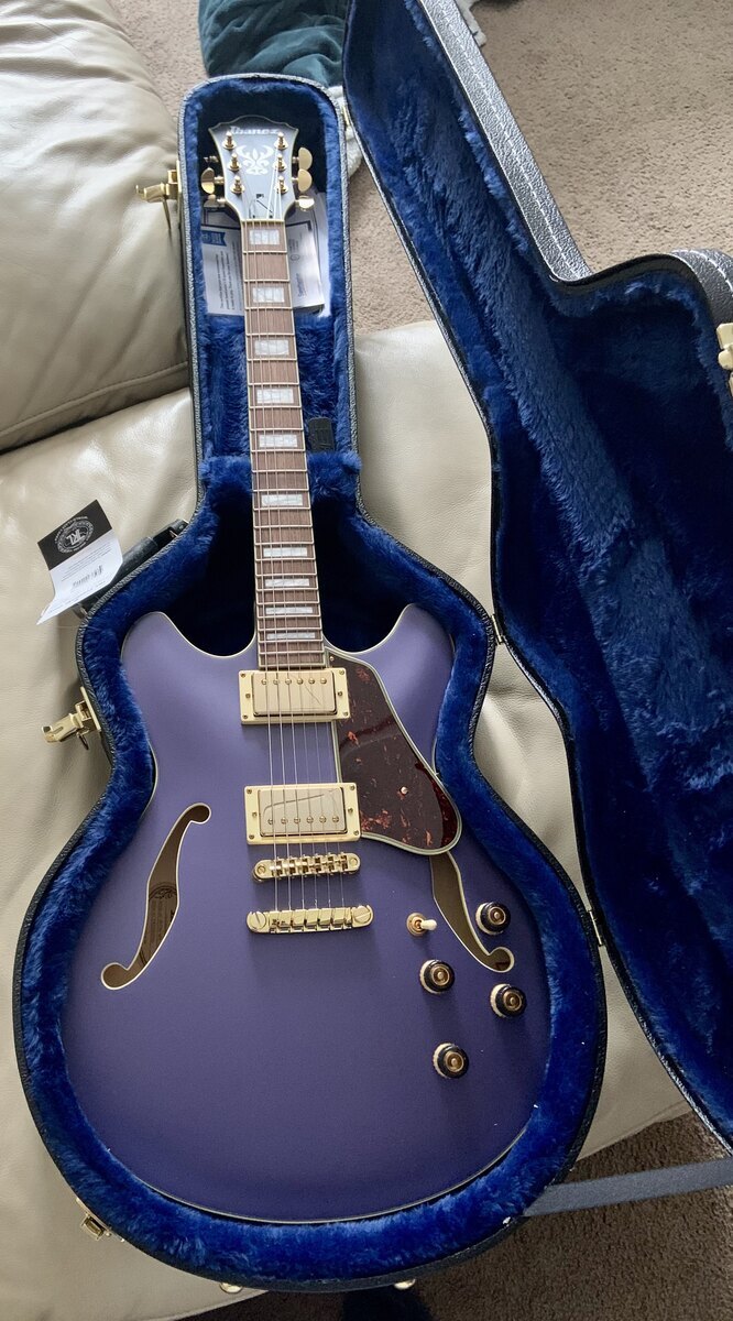 Music Gear Setup by creck featuring Ibanez Artcore AS73G