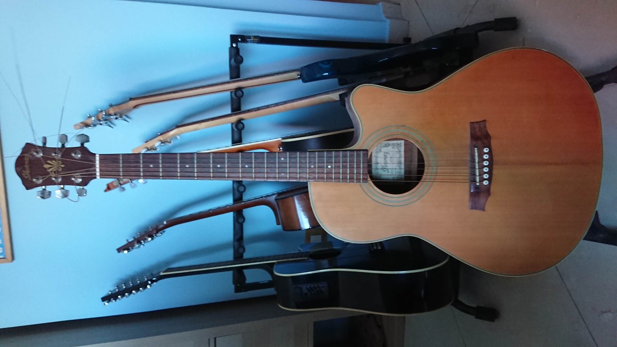 Music Gear Setup by lminiero featuring Black Ibanez AEG10E