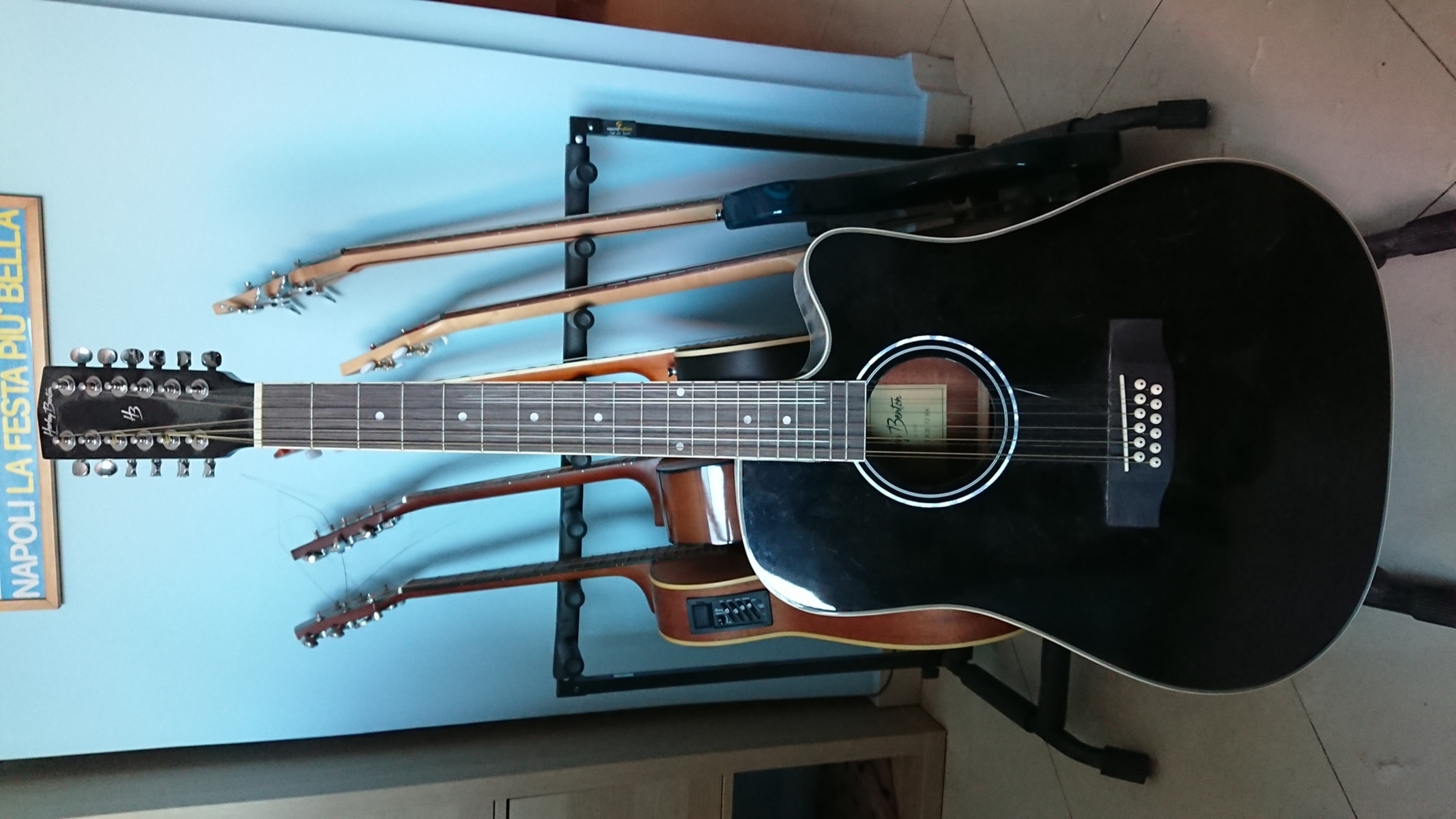 Music Gear Setup by lminiero featuring Harley Benton D-200CE-12NT