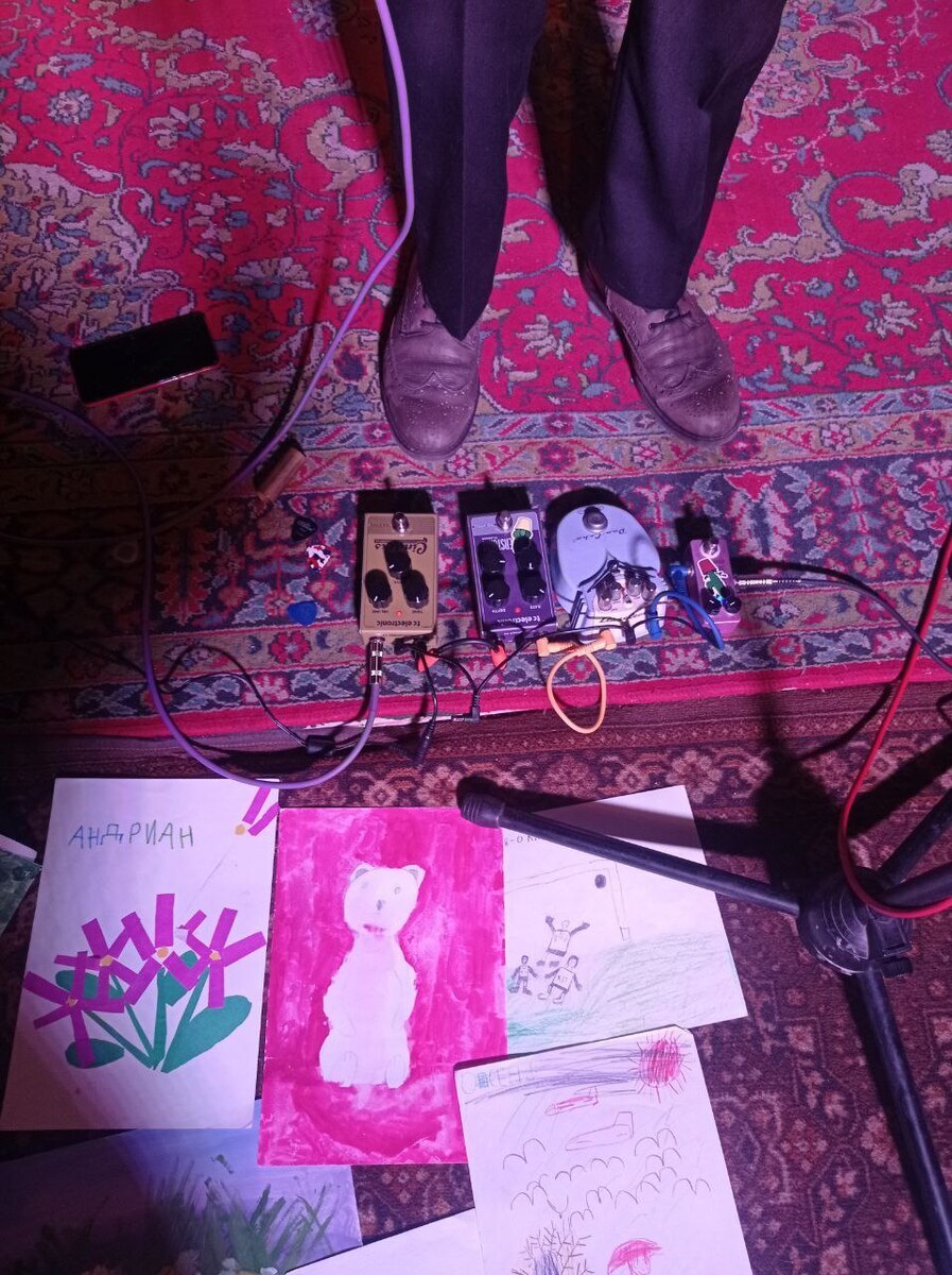 TC Electronic Music Gear Setup by andrianchobanu featuring Danelectro DE-1 Dan-Echo Delay, TC Electronic Thunderstorm Flanger, and TC Electronic Cinders Overdrive and 1 more piece of gear