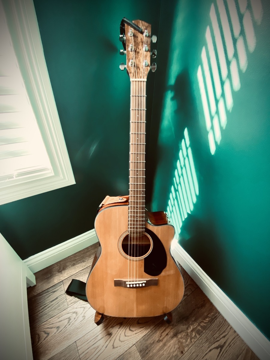 Music Gear Setup by jakrabbitnick featuring CC-60SCE