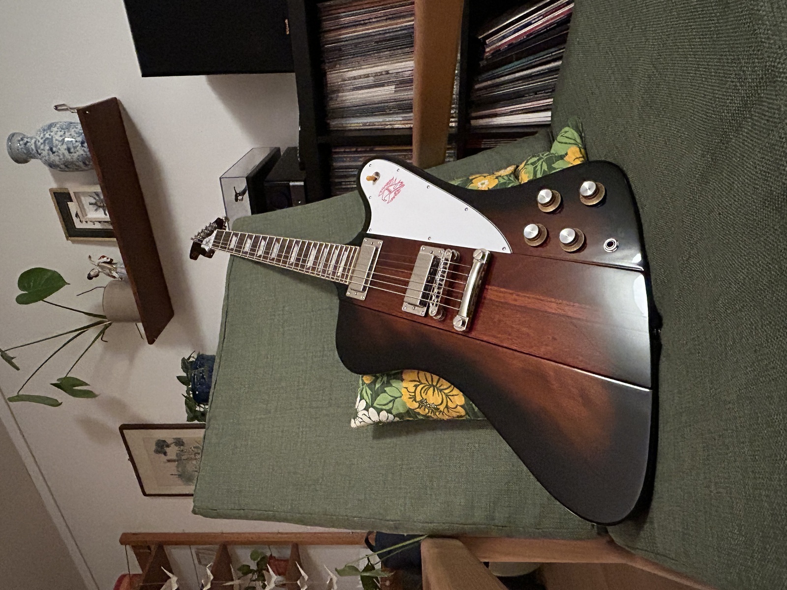 Music Gear Setup by rocknrolla_experience featuring Epiphone Firebird (Inspired By Gibson)